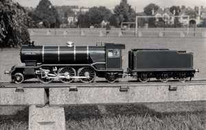 Bantam Cock | Thames Ditton