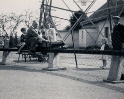 Bantam Cock in Newton Abbot 1955