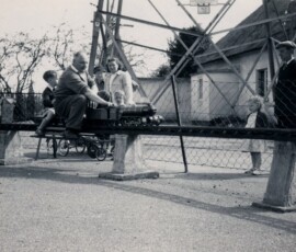 Bantam Cock in Newton Abbot 1955