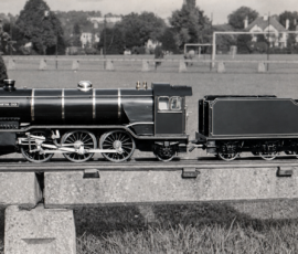 Bantam Cock | Thames Ditton